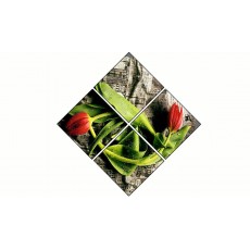 4 Tableaux | composition Rose